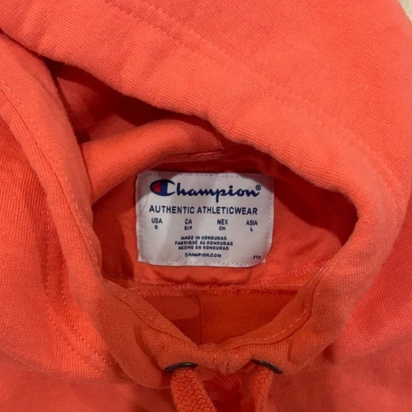 Champion Authentic Athleticwear Coral Pullover Hoodie Small gorpcore Athleisure - Picture 2 of 4
